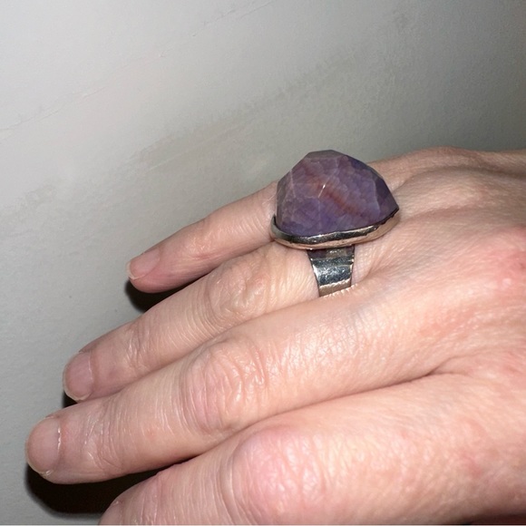 Opalized wood or dinosaur bone adjustable ring - Picture 9 of 11